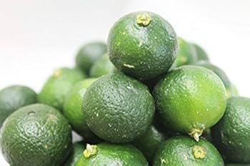 シークワーサー&こぶみかん２点セット シークワーサー 3kg 無農薬 果物 沖縄産 農薬不使用 除草剤不